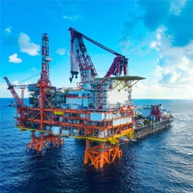 CODIPRO不銹鋼萬向吊環(huán)SS.DSR型用于海洋平臺