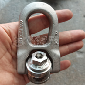 CODIPRO不銹鋼萬向吊環(huán)SS.DSR型1