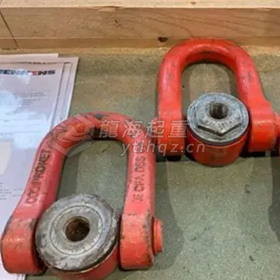 CODIPRO萬向吊環(huán)DSS型   使用一年效果展示