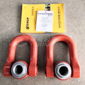 CODIPRO萬向吊環(huán)DSS型   使用前展示