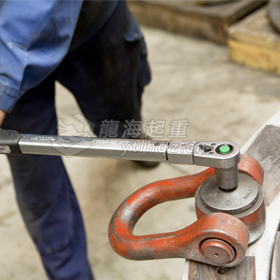 CODIPRO萬向吊環(huán)DSS型案例3