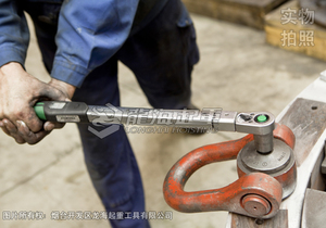 CODIPRO DSS型旋轉(zhuǎn)吊環(huán)使用案例圖一