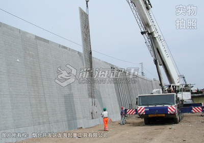 CODIPRO FE.DSR型旋轉(zhuǎn)吊環(huán)使用案例圖一