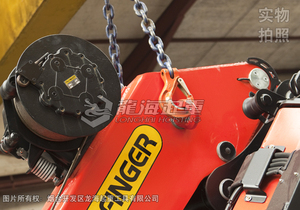 CODIPRO SEB型旋轉(zhuǎn)吊環(huán)使用案例圖二