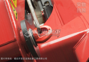 CODIPRO SEB型旋轉(zhuǎn)吊環(huán)使用案例圖一