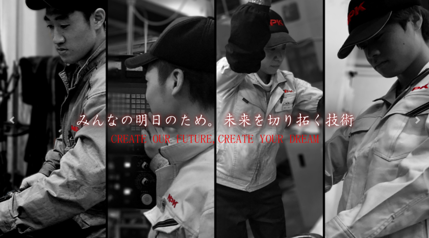 日本NPK品牌介绍