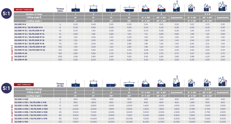 CODIPRO SS.FE.DSR型不銹鋼旋轉(zhuǎn)吊環(huán)吊裝角度示意圖
