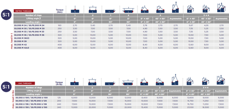 CODIPRO SS.DSS型不銹鋼旋轉(zhuǎn)吊環(huán)吊裝角度示意圖